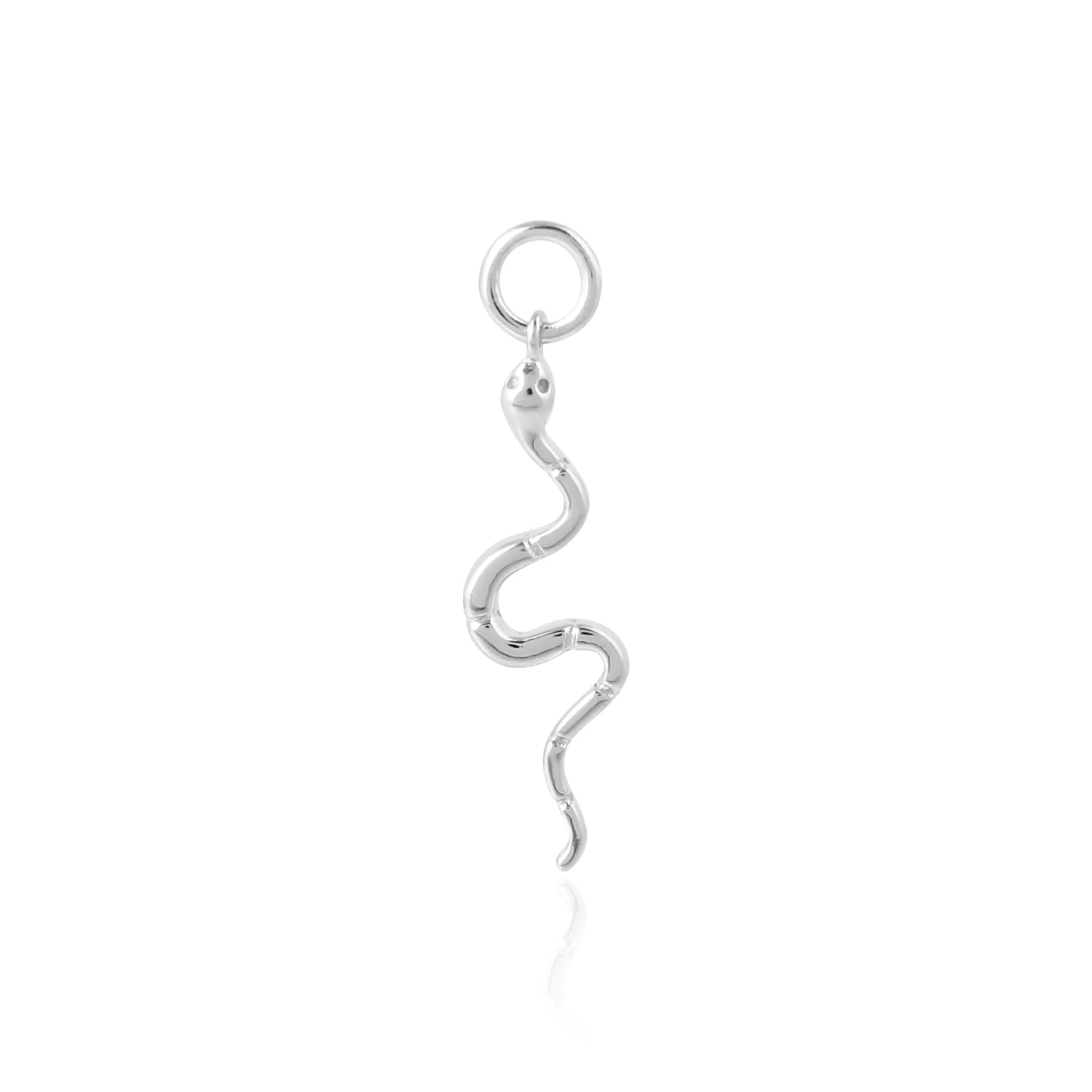 Snake Charm - Image 3