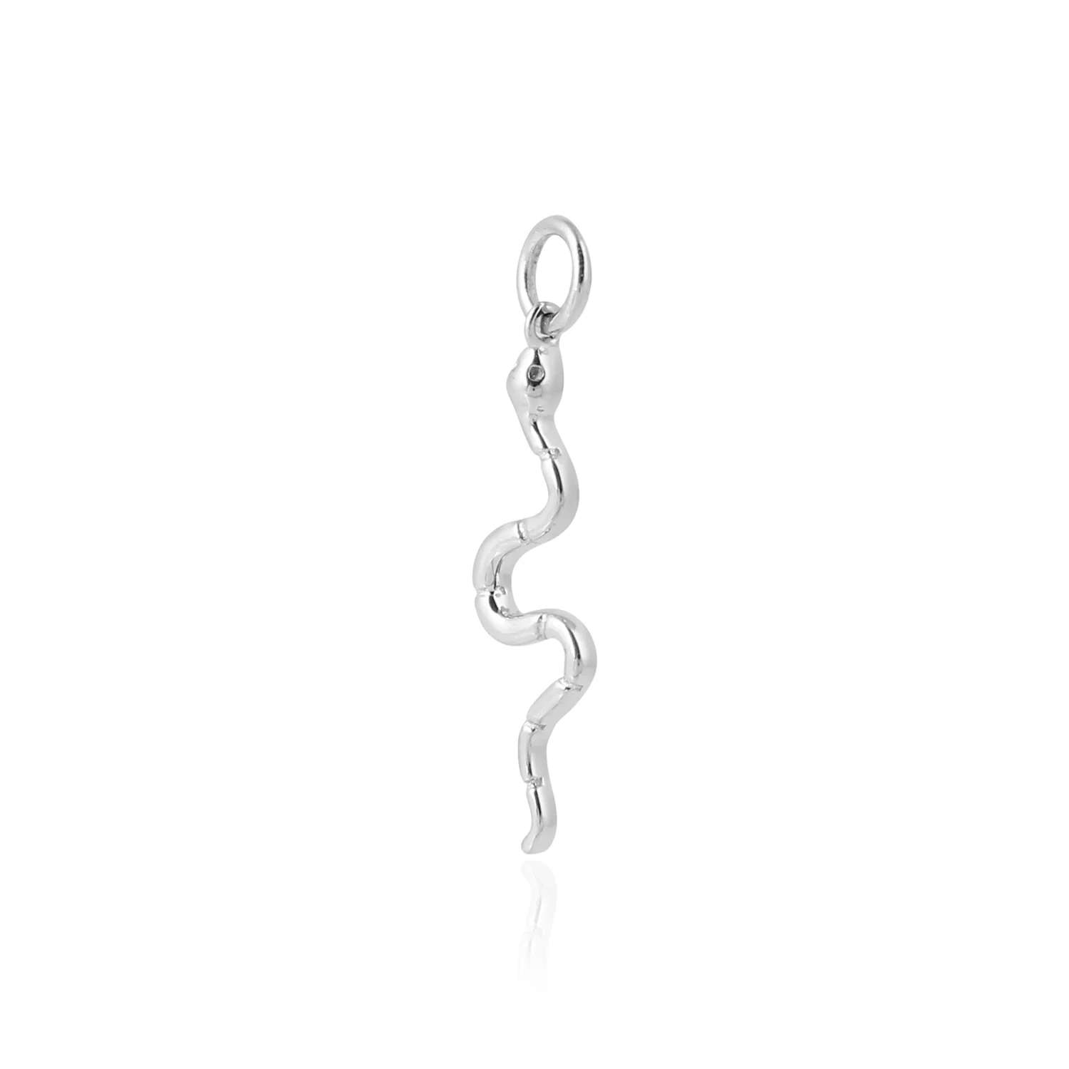 Snake Charm - Image 4